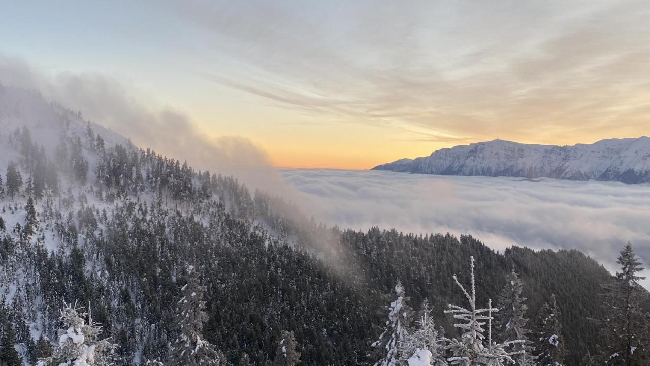 Yager Chalet Пояна Брашов Екстериор снимка